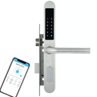 SS304 waterproof wifi APP Smart door lock with handle